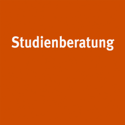 Mappen- & Studienberatung - Schwerpunkt BA Kommunikationsdesign - Prof. Roger Walk