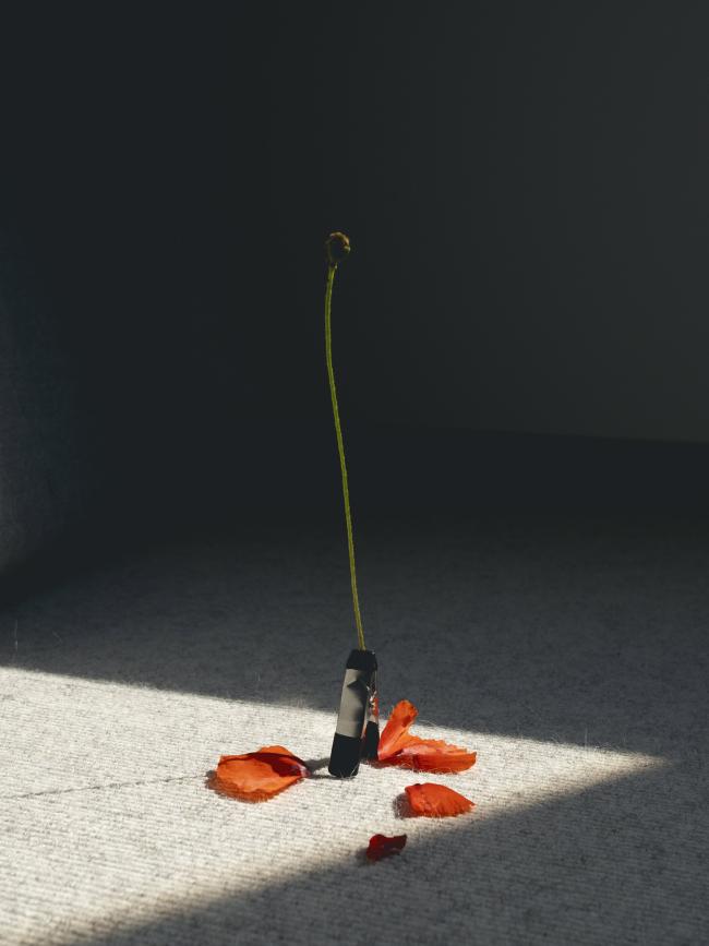 EMMA LYDSSAN - JÄGER UND WOLF