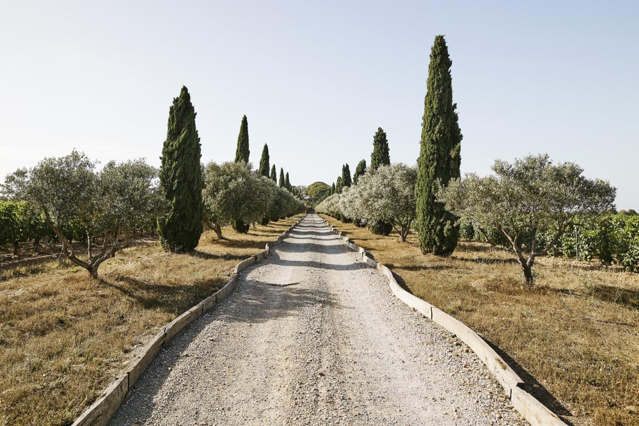 FLORIAN JÄGER - LA ROUTE DE PARFUMS