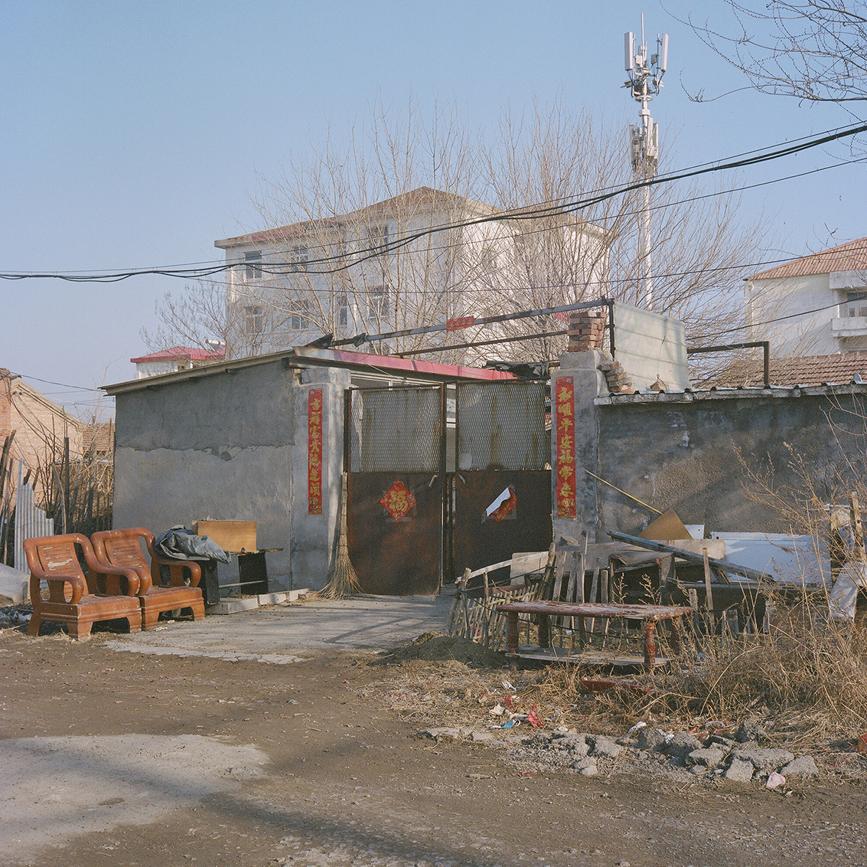 Jiaying Yu, aus See the Leaves Fall, 2023-2024