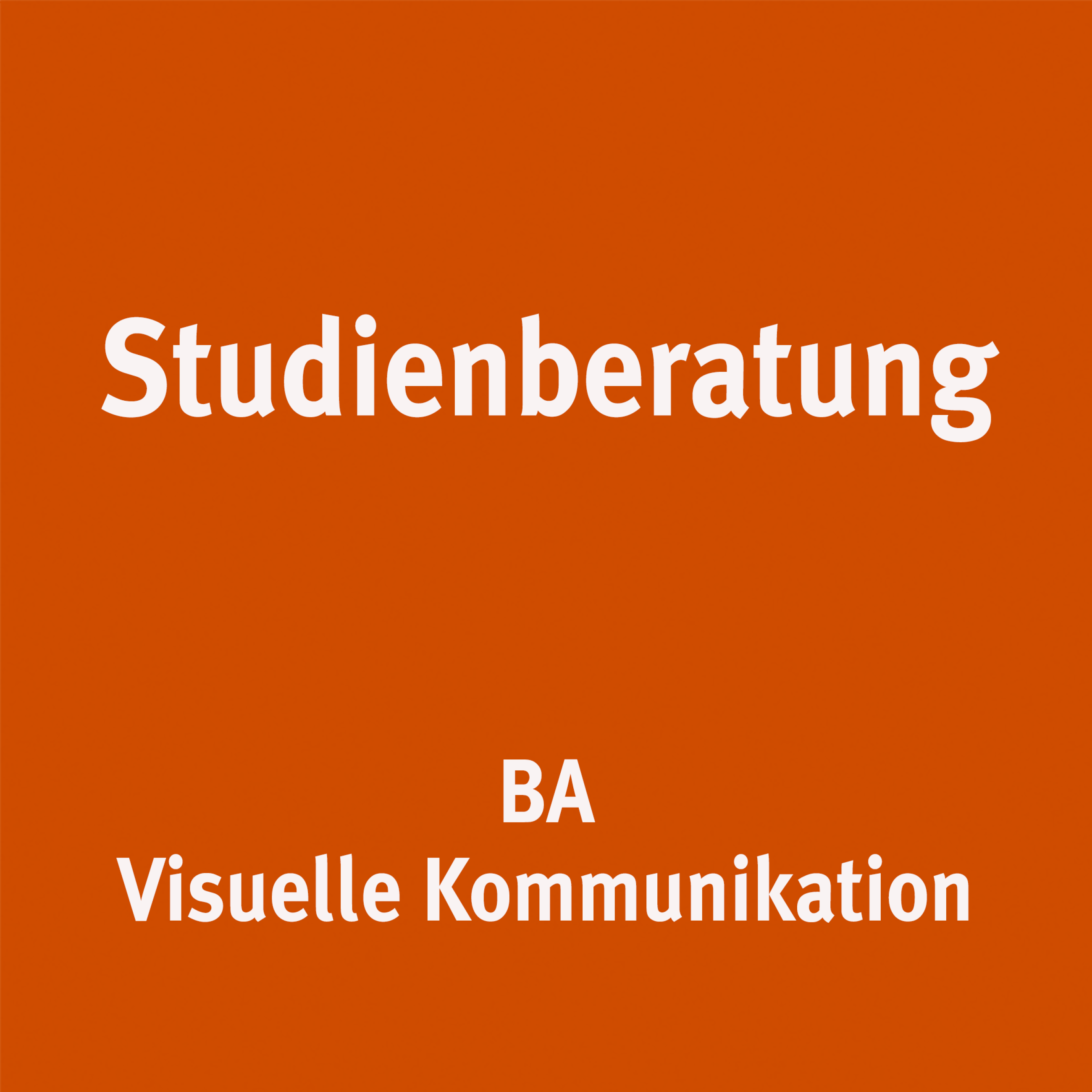 Mappen- & Studienberatung - Schwerpunkt BA Visuelle Kommunikation - Prof. Roger Walk